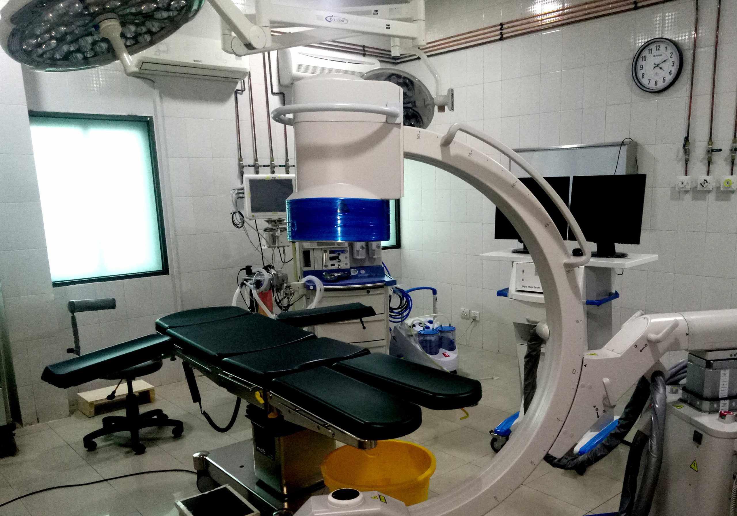 Department of Orthopedics